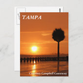 サンセットインタンパコートニーキャンベルコーズウェイ ポストカード (正面/裏面)