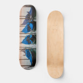 サンセットインヴェネツィア スケートボード (正面)