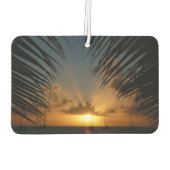 サンセットウィズパームフロンズトロピカルシースケープ カーエアーフレッシュナー (裏面)