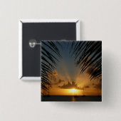 サンセットウィズパームフロンズトロピカルシースケープ 缶バッジ (正面&裏面)