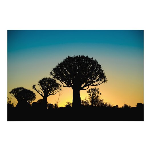サンセットウィーバーツリーフォレストフォトプリント フォトプリント            (正面)