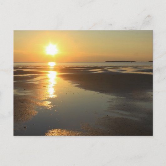 サンセットウェルフリートベイワイルドライフサンクチュアリーケープコッド ポストカード (正面)