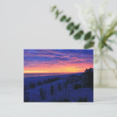 サンセットオンアラバマズビーチ ポストカード (スタンド正面)