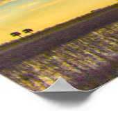 サンセットオンサウスフロリダランチランド ポスター (角)