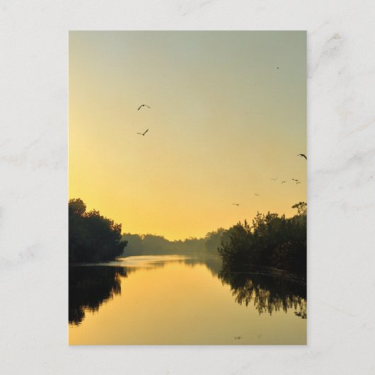 サンセットオンザネグリル川 ポストカード (正面)