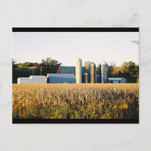 サンセットオンザファーム ポストカード (正面)