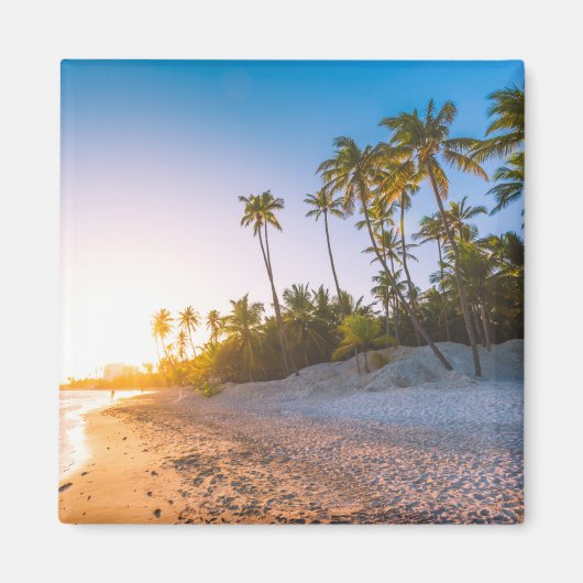 サンセットオントロピカルビーチ |ドミニカ共和国 マグネット (正面)