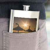 サンセットオンビーチ,マヨルカ,スペイン フラスク (インサイチュ)