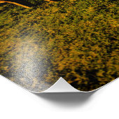 サンセットオンペンサコーラビーチ写真 フォトプリント            (角)