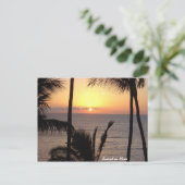 サンセットオンマウイ ポストカード (スタンド正面)