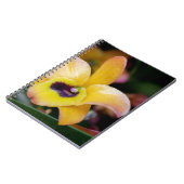 サンセットオーキッド ノートブック (左側)