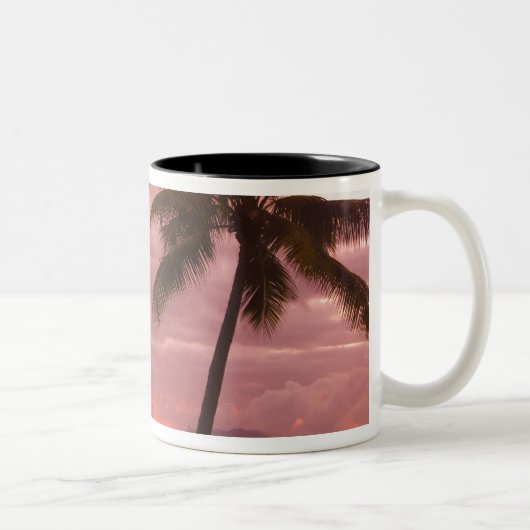 サンセットオーバムーアソフィテルマエバビーチ ツートーンマグカップ (右)