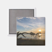 サンセットオーバーイーストベイ マグネット (正面/裏面)