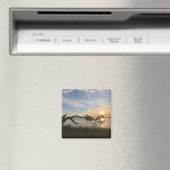 サンセットオーバーイーストベイ マグネット (インサイチュ (食洗機))