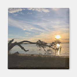 サンセットオーバーイーストベイ マグネット