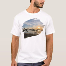 サンセットオーバーイーストベイ