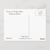 サンセットオーバーダフネ専攻の ポストカード (裏面)