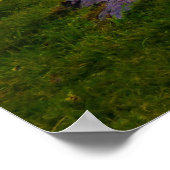 サンセットカウンティクレアドルメン ポスター (角)