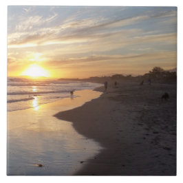 サンセットカリフォルニアの夢のタイルで犬 タイル