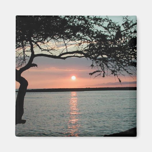 サンセットカーメル、カリフォルニア州。 マグネット (正面)