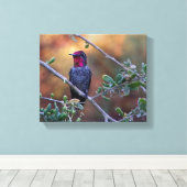 サンセットキャンバスのハミングバード キャンバスプリント (インサイチュ (ウッドフロア))