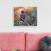 サンセットキャンバスのハミングバード キャンバスプリント (インサイチュ (リビング))