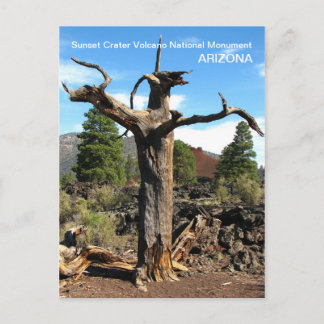 サンセットクレーター火山はがき！ ポストカード