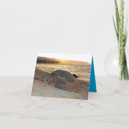 サンセットグリーンシーウミガメ誕生日カード サンキューカード