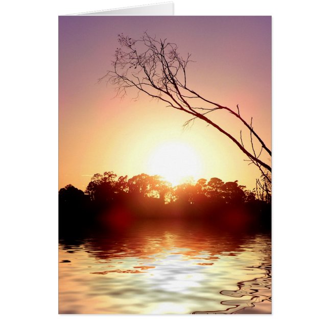 サンセットグローカード (正面)