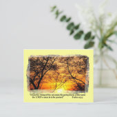 サンセットグローリーポストカード ポストカード (スタンド正面)