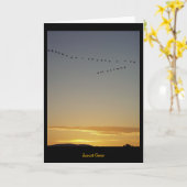 サンセットゲーゼ カード (黄色い花)