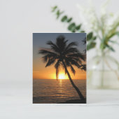 サンセットココナッツパームツリーフィジー平和と喜び ポストカード (スタンド正面)