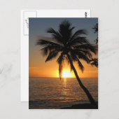 サンセットココナッツパームツリーフィジー平和と喜び ポストカード (正面/裏面)