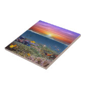 サンセットコーラルリーフ タイル (側面)