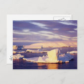 サンセットサウンド、ポストカード ポストカード (正面/裏面)