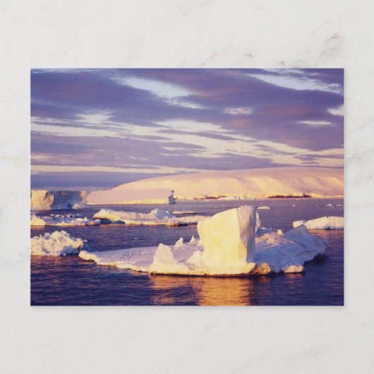 サンセットサウンド、ポストカード ポストカード (正面)