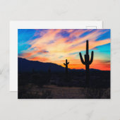 サンセットサボタスデザートダスク ポストカード (正面/裏面)