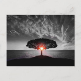 サンセットサンライズ ポストカード