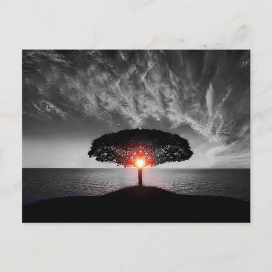 サンセットサンライズ ポストカード (正面)