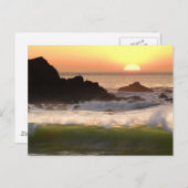 サンセットサーファー ポストカード (正面/裏面)