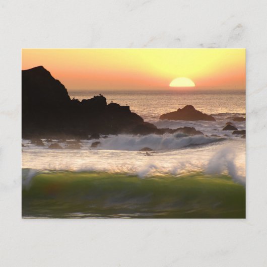 サンセットサーファー ポストカード (正面)