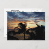 サンセットザパームスポストカード ポストカード (正面/裏面)