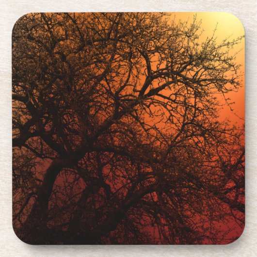 サンセットシルエットウィンターツリー コースター (正面)