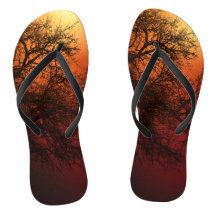 サンセットシルエットウィンターツリー