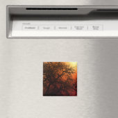 サンセットシルエットウィンターツリー マグネット (インサイチュ (食洗機))