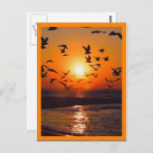 サンセットシーンオレンジ縁ど色 ポストカード (正面/裏面)