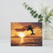 サンセットジャンプ ポストカード (スタンド正面)