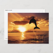 サンセットジャンプ ポストカード (正面/裏面)