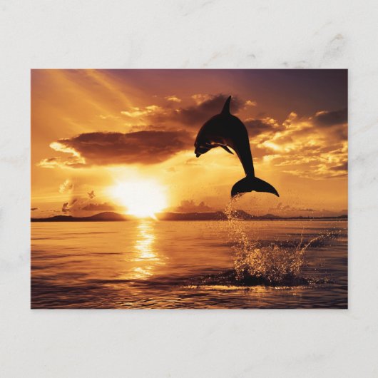 サンセットジャンプ ポストカード (正面)