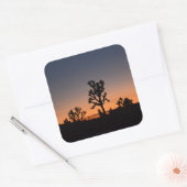 サンセットジョシュアの木 スクエアシール (封筒)